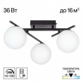 Потолочная люстра Citilux Dorsy CL223132 в Асбесте - asbest.ok-mebel.com | фото 10