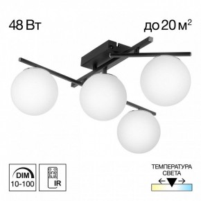 Потолочная люстра Citilux Dorsy CL223142 в Асбесте - asbest.ok-mebel.com | фото 9