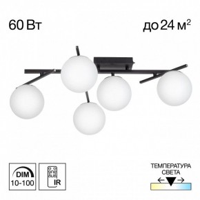 Потолочная люстра Citilux Dorsy CL223152 в Асбесте - asbest.ok-mebel.com | фото 2