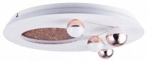 Потолочная люстра Favourite Plaides 4630-4C в Асбесте - asbest.ok-mebel.com | фото 3
