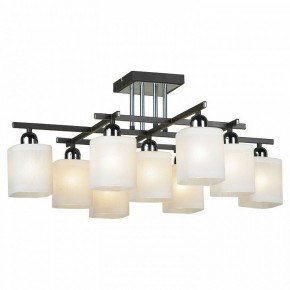 Потолочная люстра Lussole Costanzo LSL-9007-09 в Асбесте - asbest.ok-mebel.com | фото 2