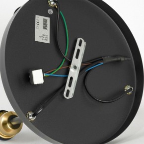 Потолочная люстра Lussole Mitchel LSP-8996 в Асбесте - asbest.ok-mebel.com | фото 5