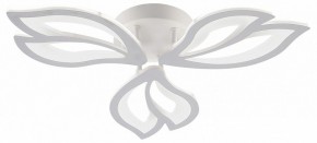 Потолочная люстра Natali Kovaltseva FORTUNA LED LAMPS 81107/2C в Асбесте - asbest.ok-mebel.com | фото