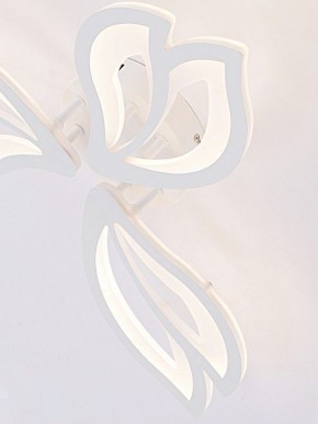 Потолочная люстра Natali Kovaltseva FORTUNA LED LAMPS 81107/2C в Асбесте - asbest.ok-mebel.com | фото 11