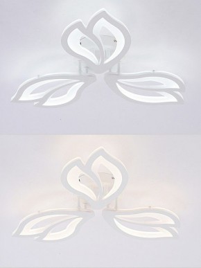 Потолочная люстра Natali Kovaltseva FORTUNA LED LAMPS 81107/2C в Асбесте - asbest.ok-mebel.com | фото 4