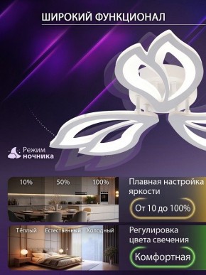 Потолочная люстра Natali Kovaltseva FORTUNA LED LAMPS 81107/2C в Асбесте - asbest.ok-mebel.com | фото 5
