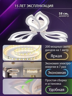 Потолочная люстра Natali Kovaltseva FORTUNA LED LAMPS 81107/2C в Асбесте - asbest.ok-mebel.com | фото 6