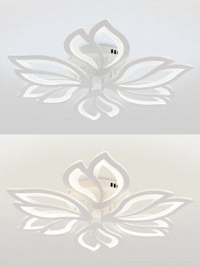Потолочная люстра Natali Kovaltseva FORTUNA LED LAMPS 81107/6C в Асбесте - asbest.ok-mebel.com | фото 4