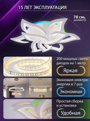 Потолочная люстра Natali Kovaltseva OLIMP LED LAMPS 81435 в Асбесте - asbest.ok-mebel.com | фото 5