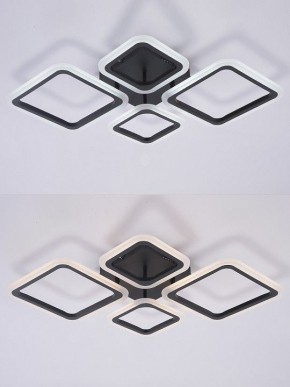Потолочная люстра Natali Kovaltseva OPTI LED LAMPS 81108/2C в Асбесте - asbest.ok-mebel.com | фото 4