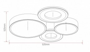 Потолочная люстра Rivoli Aliona Б0066451 в Асбесте - asbest.ok-mebel.com | фото 11