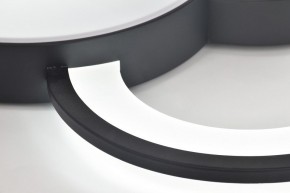 Потолочная люстра Rivoli Aliona Б0066452 в Асбесте - asbest.ok-mebel.com | фото 10