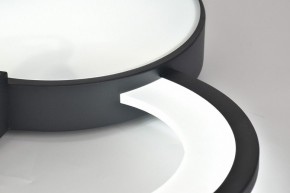 Потолочная люстра Rivoli Aliona Б0066452 в Асбесте - asbest.ok-mebel.com | фото 11
