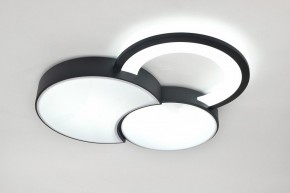Потолочная люстра Rivoli Aliona Б0066452 в Асбесте - asbest.ok-mebel.com | фото 8