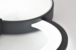 Потолочная люстра Rivoli Aliona Б0066452 в Асбесте - asbest.ok-mebel.com | фото 9