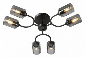 Потолочная люстра Vitaluce V2823 V2823-1/6PL в Асбесте - asbest.ok-mebel.com | фото 2
