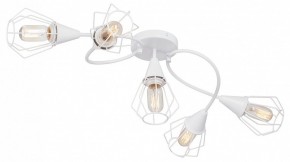 Потолочная люстра Vitaluce V3037 V3037-0/5PL в Асбесте - asbest.ok-mebel.com | фото