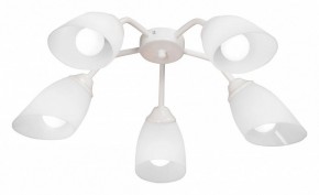 Потолочная люстра Vitaluce V31950 V31950/5PL в Асбесте - asbest.ok-mebel.com | фото
