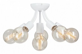 Потолочная люстра Vitaluce V3927 V3927-0/6PL в Асбесте - asbest.ok-mebel.com | фото