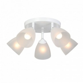 Потолочная люстра Vitaluce V4355 V4355-0/5PL в Асбесте - asbest.ok-mebel.com | фото 2
