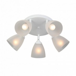 Потолочная люстра Vitaluce V4355 V4355-0/5PL в Асбесте - asbest.ok-mebel.com | фото 3