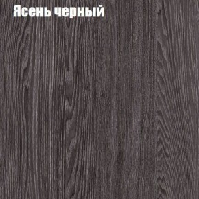 Прихожая ДИАНА-4 сек №10 (Ясень анкор/Дуб эльза) в Асбесте - asbest.ok-mebel.com | фото 3