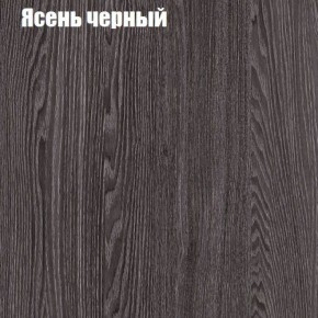 Прихожая ДИАНА-4 сек №6 (Ясень анкор/Дуб эльза) в Асбесте - asbest.ok-mebel.com | фото 3