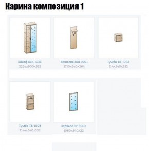 Прихожая Карина (модульная) в Асбесте - asbest.ok-mebel.com | фото 4