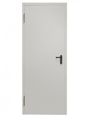 Противопожарная дверь Промет ДП 1 EIS-60 (Одностворчатая) 2050*850/ЛЕВАЯ в Асбесте - asbest.ok-mebel.com | фото