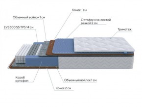 PROxSON Матрас Active Duo M/F (Ткань Трикотаж Эко) 120x190 в Асбесте - asbest.ok-mebel.com | фото 6