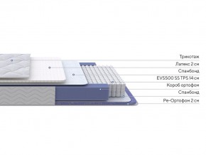 PROxSON Матрас Active Duo S/F (Ткань Трикотаж Эко) 120x200 в Асбесте - asbest.ok-mebel.com | фото 2