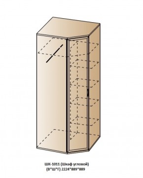 ШК-1011 (Шкаф угловой) в Асбесте - asbest.ok-mebel.com | фото