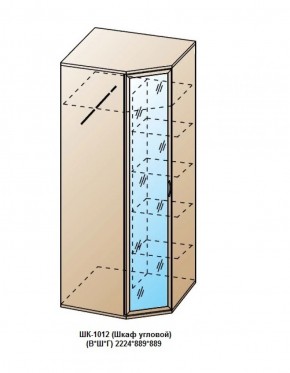 ШК-1012 (Шкаф угловой) в Асбесте - asbest.ok-mebel.com | фото