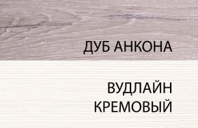 Шкаф 1DZ, OLIVIA, цвет вудлайн крем/дуб анкона в Асбесте - asbest.ok-mebel.com | фото 3