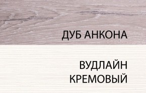 Шкаф 2DG, OLIVIA, цвет вудлайн крем/дуб анкона в Асбесте - asbest.ok-mebel.com | фото 3