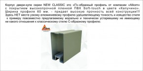 Шкаф-купе 1500 серии NEW CLASSIC K4+K4+B2+PL4 (2 ящика+F обр. штанга) профиль «Капучино» в Асбесте - asbest.ok-mebel.com | фото 18