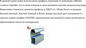 Шкаф-купе 1500 серии SILVER S5+S5+B2+PL3 (2 ящика+2 штанги) профиль «Серебро» в Асбесте - asbest.ok-mebel.com | фото 4