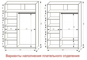 Шкаф-купе 1600 серии SOFT D1+D3+B2+PL1 (2 ящика+1штанга) профиль «Графит» в Асбесте - asbest.ok-mebel.com | фото 6