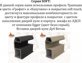 Шкаф-купе 1800 серии SOFT D1+D3+B2+PL1 (2 ящика+1штанга) профиль «Графит» в Асбесте - asbest.ok-mebel.com | фото 11