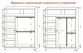 Шкаф-купе 1800 серии SOFT D1+D3+B2+PL1 (2 ящика+1штанга) профиль «Графит» в Асбесте - asbest.ok-mebel.com | фото 7