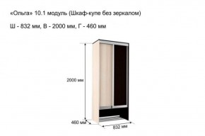 Шкаф купе без зеркала "Ольга 10.1" в Асбесте - asbest.ok-mebel.com | фото 3