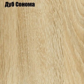 Шкаф-купе Лофт 1600 Шк16-60 (Дуб Сонома) в Асбесте - asbest.ok-mebel.com | фото 4
