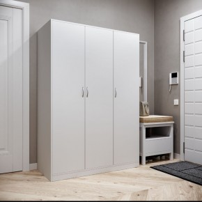 Шкаф ОРИОН трехдверный, цвет белый в Асбесте - asbest.ok-mebel.com | фото 2