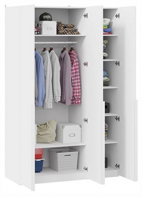 Шкаф платяной Порто СМ-393.07.112 в Асбесте - asbest.ok-mebel.com | фото 3