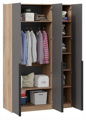 Шкаф платяной Порто СМ-393.07.112 в Асбесте - asbest.ok-mebel.com | фото 2