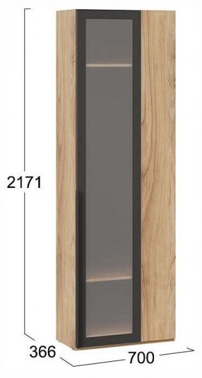 Шкаф платяной Порто СМ-393.07.233 в Асбесте - asbest.ok-mebel.com | фото 3