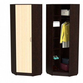 Шкаф платяной ШП-10 в Асбесте - asbest.ok-mebel.com | фото 2