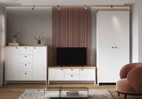 Шкаф платяной Теодора в Асбесте - asbest.ok-mebel.com | фото 4