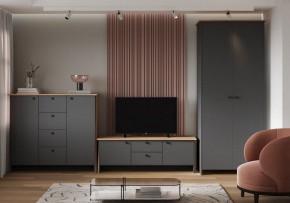 Шкаф платяной Теодора в Асбесте - asbest.ok-mebel.com | фото 3
