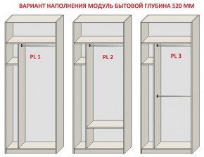 Шкаф распашной серия «ЗЕВС» (PL3/С1/PL2) Серый камень/Небраска натуральный в Асбесте - asbest.ok-mebel.com | фото 5